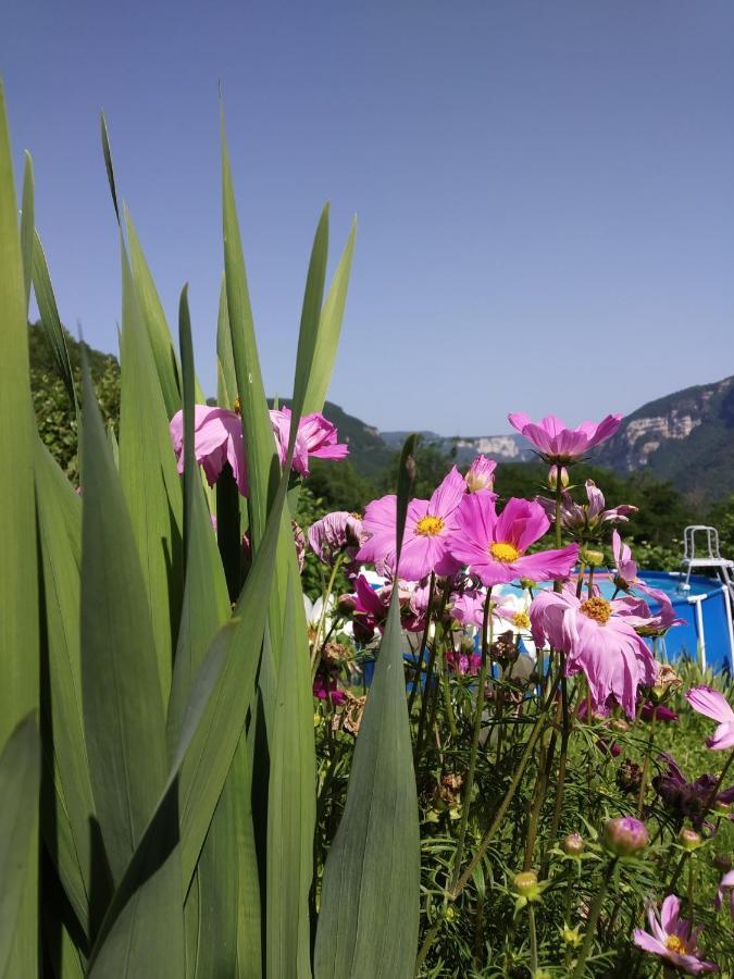 Au Chalet D'Anna Saint-Rambert-en-Bugey Ngoại thất bức ảnh