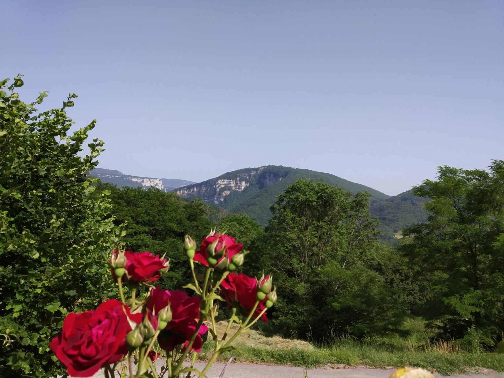 Au Chalet D'Anna Saint-Rambert-en-Bugey Ngoại thất bức ảnh